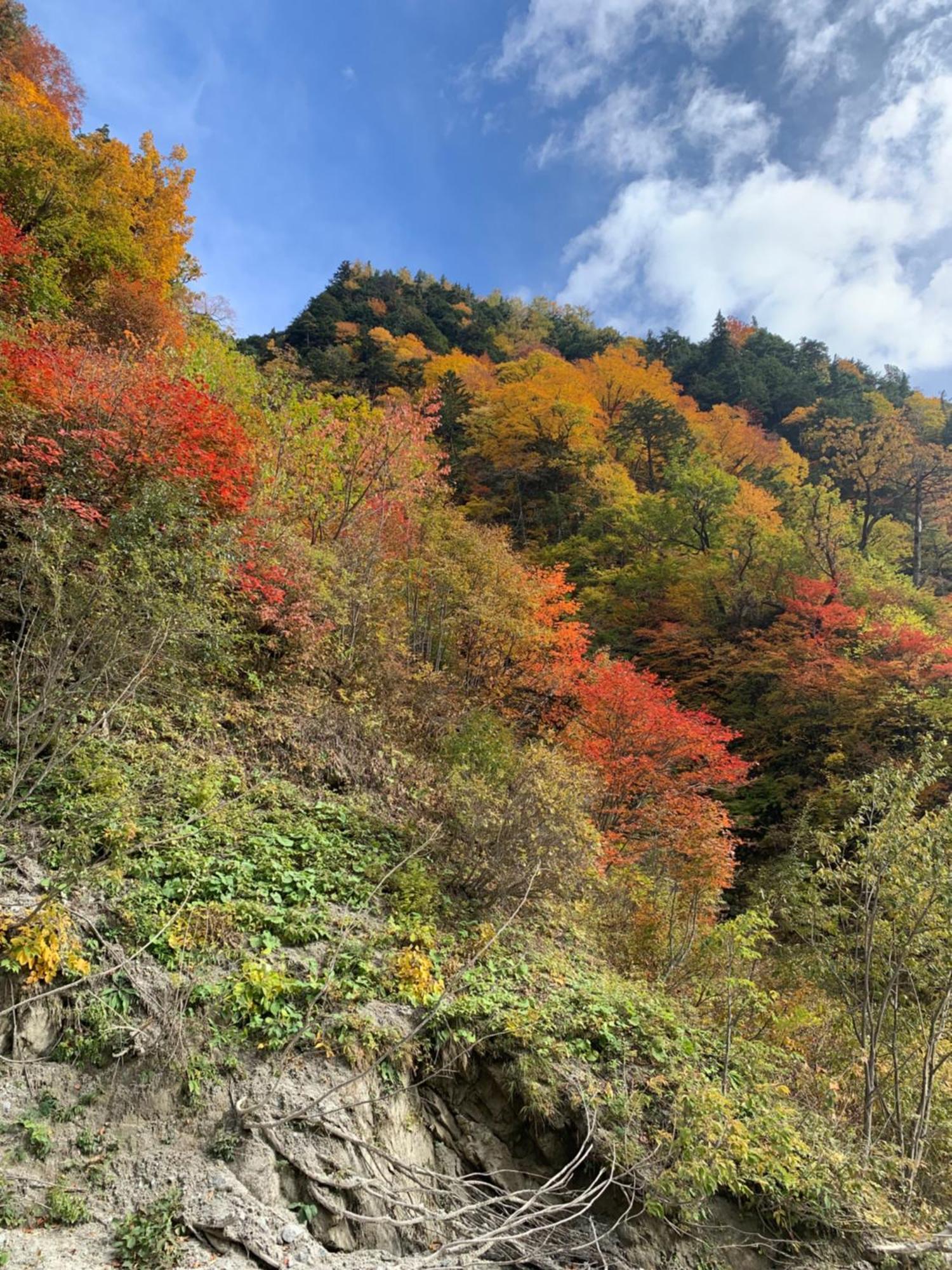 Cotergi o no I Villa Ōmachi Exteriör bild