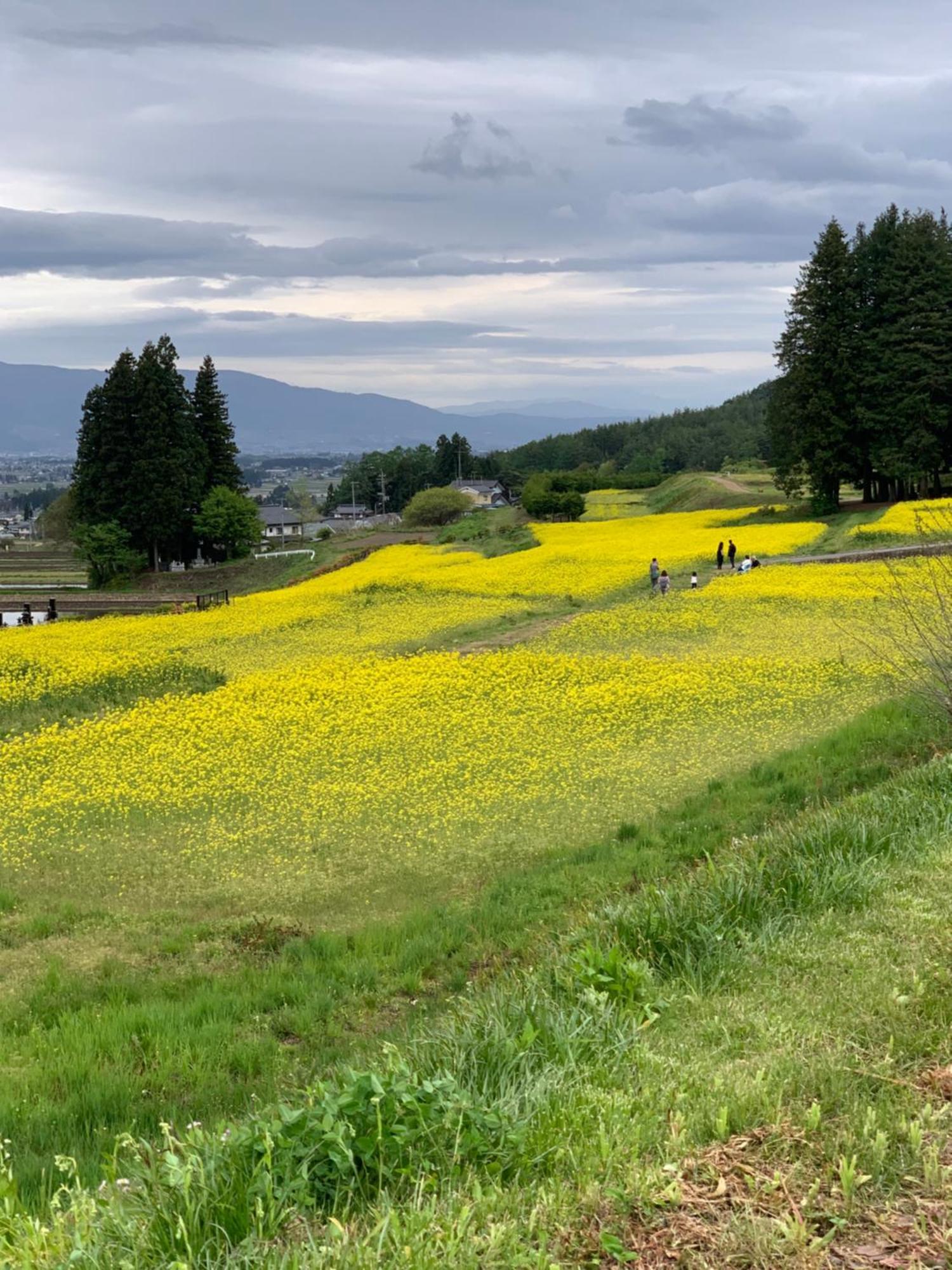 Cotergi o no I Villa Ōmachi Exteriör bild