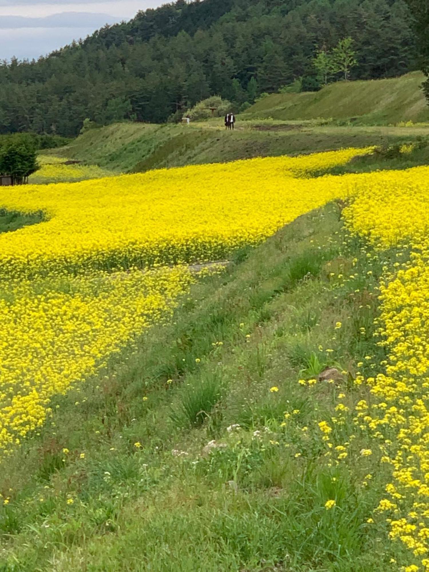 Cotergi o no I Villa Ōmachi Exteriör bild